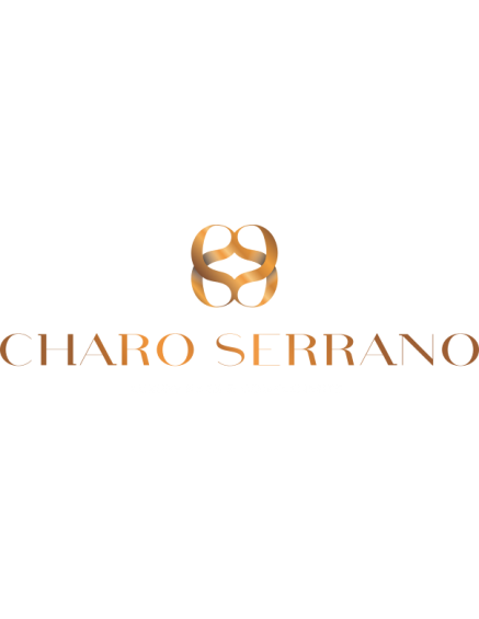 copy of LOTE BOLSOS Y...